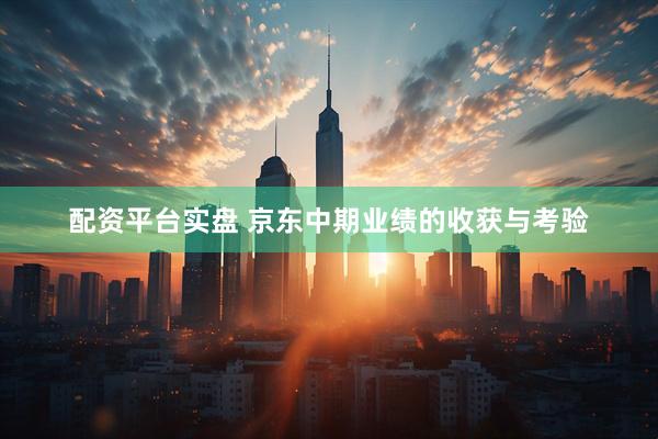 配资平台实盘 京东中期业绩的收获与考验