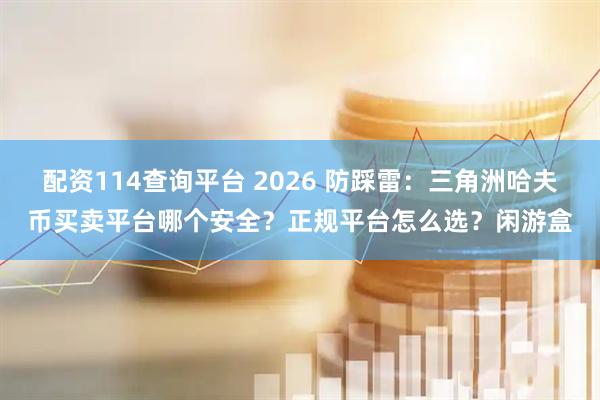 配资114查询平台 2026 防踩雷：三角洲哈夫币买卖平台哪个安全？正规平台怎么选？闲游盒